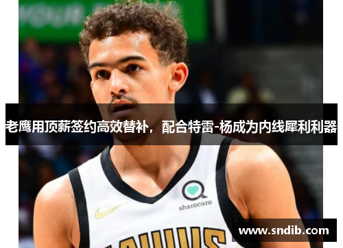 老鹰用顶薪签约高效替补，配合特雷-杨成为内线犀利利器