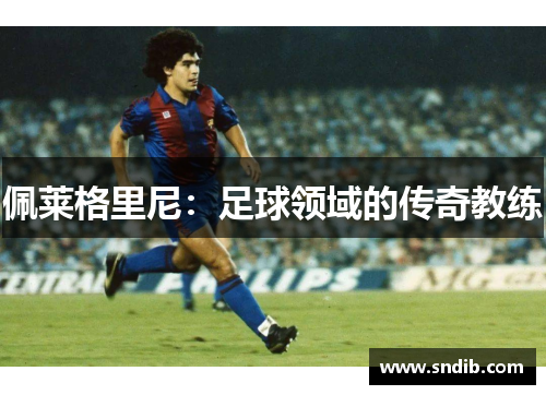 佩莱格里尼：足球领域的传奇教练